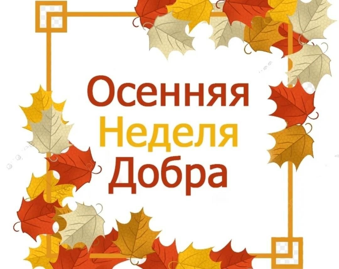 Осенняя неделя добра.